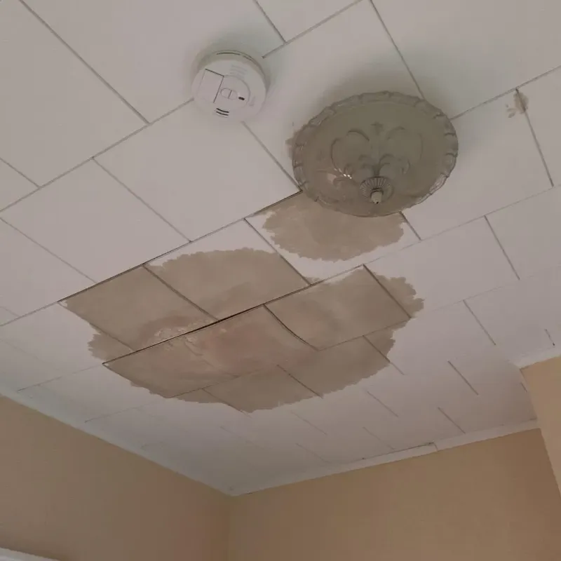 Ceiling Water Damage Repair in Raeford, NC