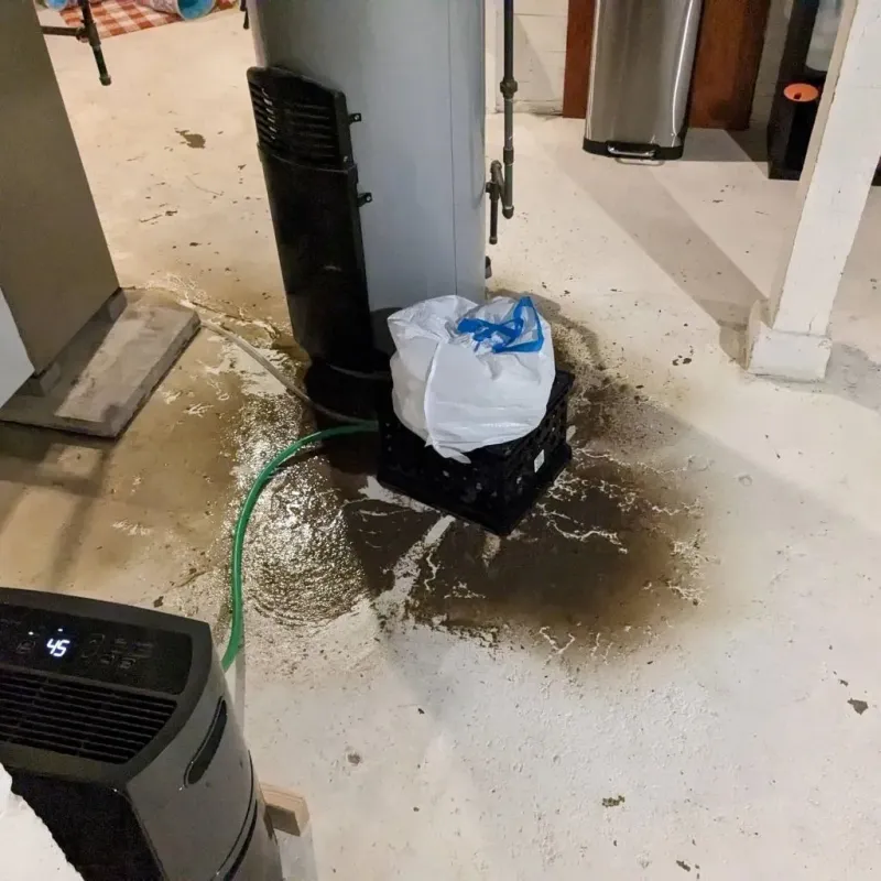 Sewage Backup Cleanup Service in Raeford, NC
